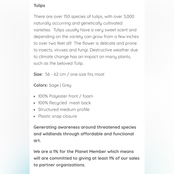 Katherine Homes Title Nine Tulip Mesh Trucker Snap Back Hat - Picture 7 of 13